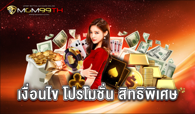เงื่อนไข โปรโมชั่น สิทธิพิเศษ